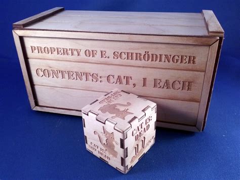 Schrodinger's Cat Box Decision Maker Quantum Physics - Etsy