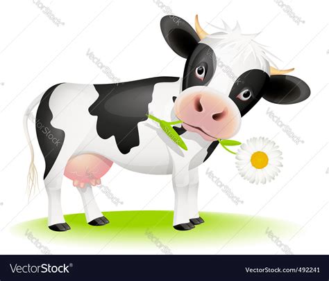 Cow eating daisy Royalty Free Vector Image - VectorStock