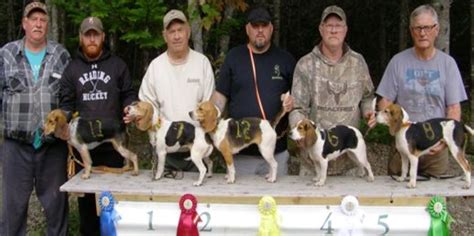 Cape Trail Beagle Club September 15 2019 Canadian Beagler