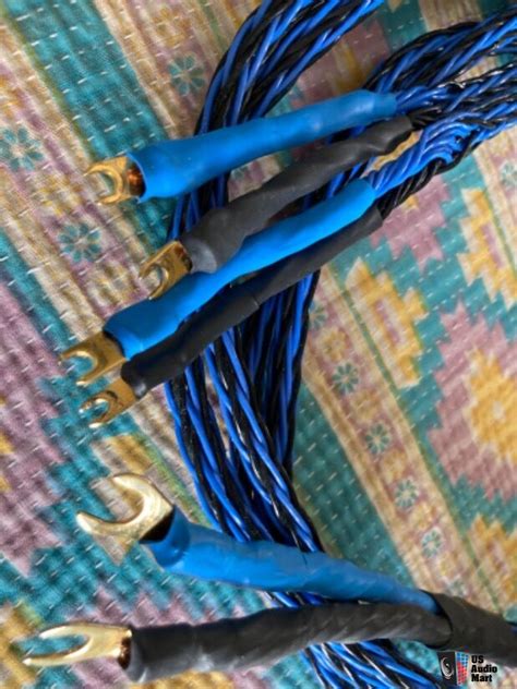 Kimber Kable 8TC Bi Wire Black And Blue Version 8 Ft Photo 4720072