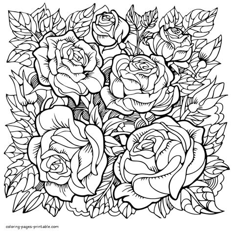 Printable Coloring Pages Of Flowers For Adults At GETHANABLOG Blog