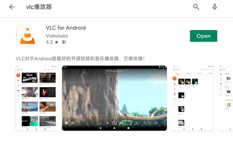手机版VLC媒体播放器使用指南一 安装 哔哩哔哩