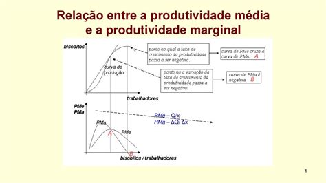 Relação entre a produtividade média e a produtividade marginal ppt