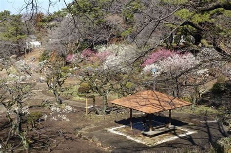 大倉山公園へのアクセス方法と駐車場は？｜神奈川県横浜市港北区 歩いてみたブログ