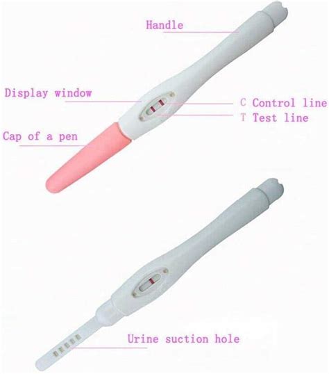 Pcs Hcg Early Pregnancy Testing Stick Pen Adult Female Women Pregnant