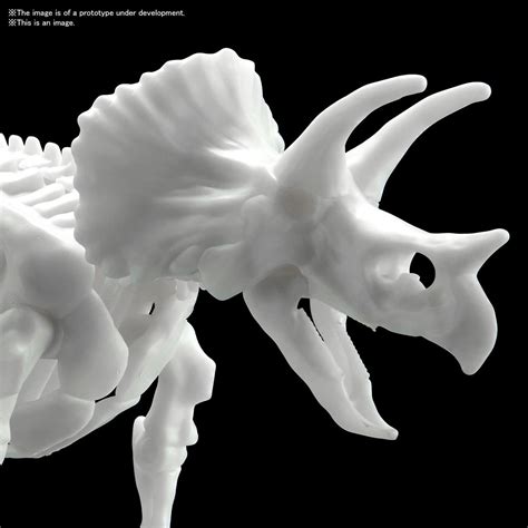 Triceratops Dinosaur Limex Skeleton Bandai Spirits Hobby Model Kit