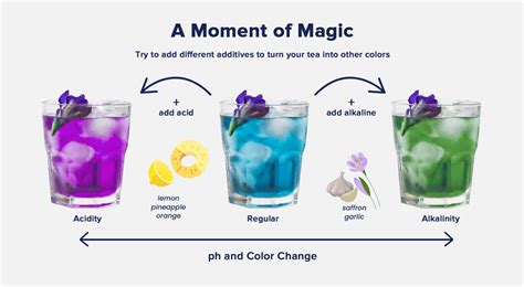 Butterfly Pea Flower Benefits How To Use The Nutrition Insider