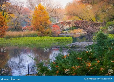 Bridge and Lake in Central Park, New York City at Golden Autumn, USA ...