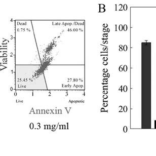 Lippia Origanoides Extract Loe Induces Apoptosis Accompanied By