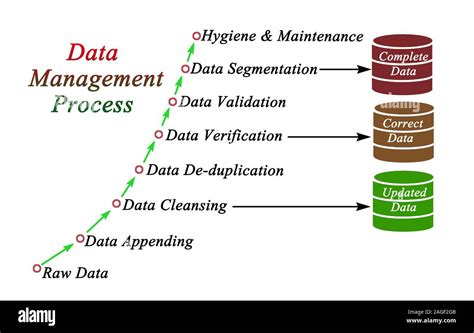 Components Of Data Management Process Stock Photo Alamy