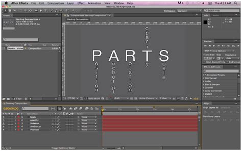 What Is After Effects Petrosany