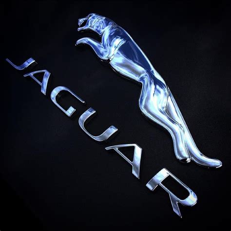 Jaguar Logo Jaguar Jaguar Wallpaper Jaguar F Type