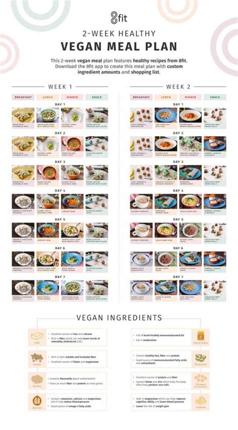 Vegan Bodybuilder Meal Plan Pdf | EOUA Blog