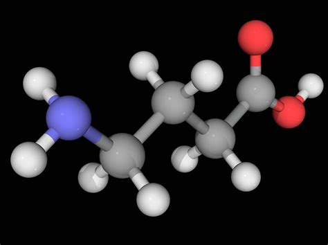 Gamma Aminobutyric Acid Gaba Molecule Photograph By Laguna Design