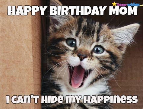 Cute Cat Birthday Meme 20 Cat Birthday Memes That Are Way Too Adorable