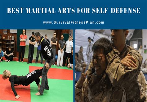 The 10 Best Martial Arts For Self Defense