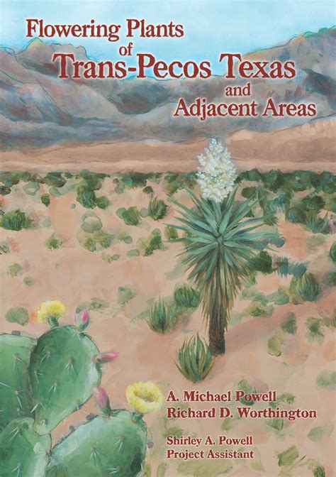 Flowering Plants Of Trans Pecos Texas And Adjacent Areas Shop Brit