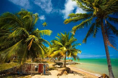 As Melhores Praias De Alagoas Turismo De Natureza