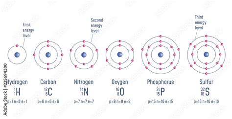 Structure of an Atom Stock Vector | Adobe Stock