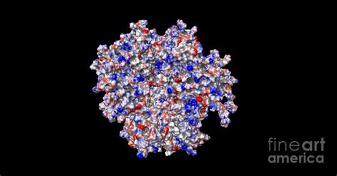 Hiv Spike Protein Photograph By Dr Victor Padilla Sanchez Phd