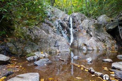 Hiking In Grayson Highlands State Park Virginia Travel Experience Live