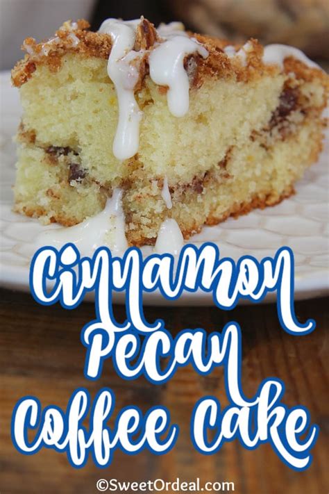 Cinnamon Pecan Coffee Cake Sweet Ordeal Dessert