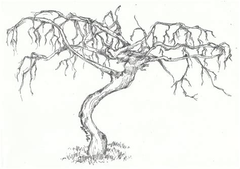 How To Draw A Dying Tree