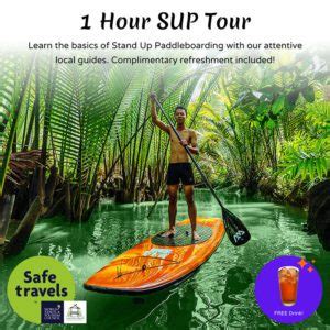 Day Tour Loboc River Resort