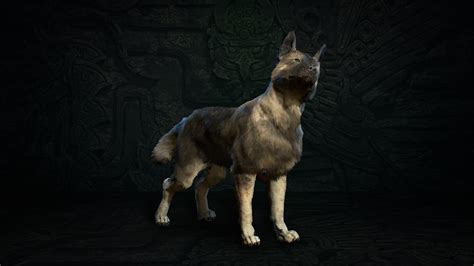 Llegan Las Mascotas Ya Mismo A Diablo Iv Diablonext Foros Noticias