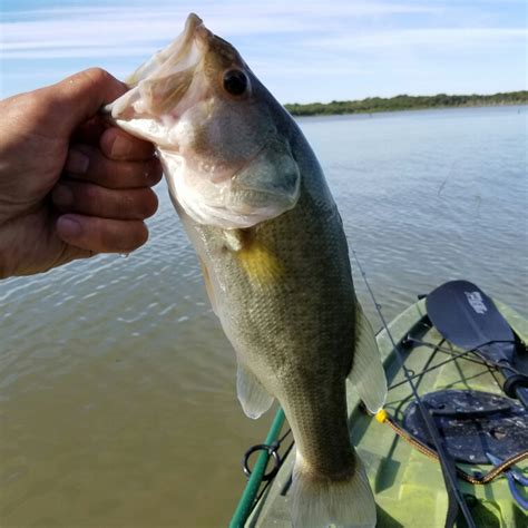 Lavon Lake Tx Fishing Reports Map And Hot Spots