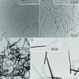 Tem Images Of A Nanofibers Formed By Supramolecular Coassembly Of