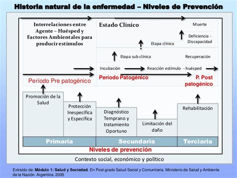 Teórico Historia Natural De La Enfermedad Y Niveles De Prevención