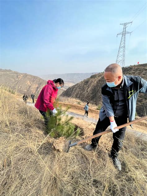 植树添新绿 不负好春光丨环县妇联组织开展义务植树活动澎湃号·政务澎湃新闻 The Paper