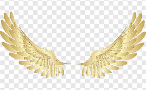 Angel Wings Photoshop Editing Transparent Background Free Download ...