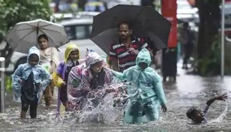 Tamil Nadu Rains Schools To Be Closed Today In These Districts Due To