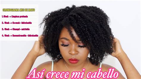 Cómo hacer CRECER tu CABELLO AFRO RIZADO cada mes Mi CRONOGRAMA