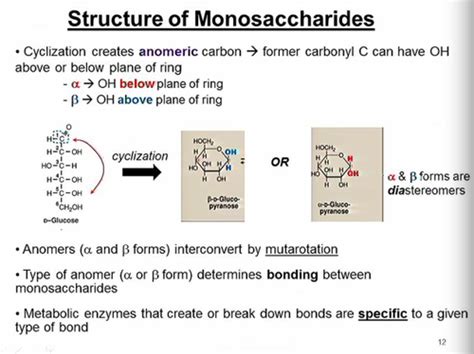 Mcat Biochem Flashcards Question Kaplan Flashcards Quizlet