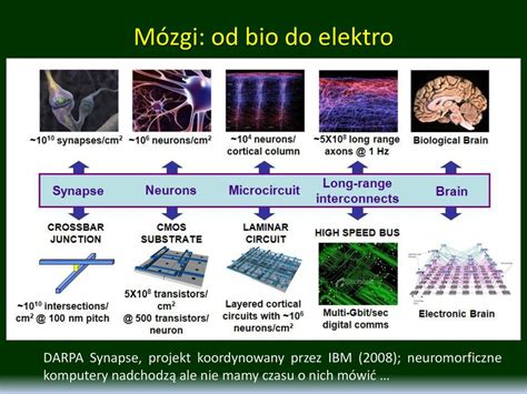 Sztuczne Sieci Neuronowe Wst P Ppt Pobierz