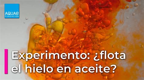 Descubre lo que es más denso El agua o el aceite CCFProsario ar