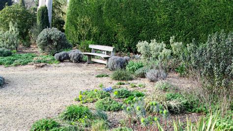 7 Xeriscaping Ideas Save Money While Saving The Planet