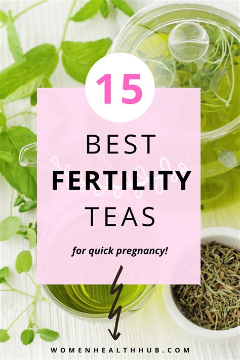 5 Herbal Teas To Increase Fertility Naturally Artofit