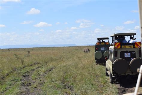 Tripadvisor Halbtagestour im Nairobi Nationalpark zur Verfügung