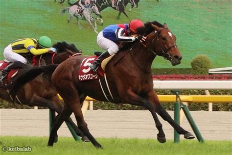 【京都大賞典】4週連続で2ケタ人気馬が激走中！『ステイホーム馬券』にピッタリの狙い馬！ 競馬ニュース 競馬ラボ