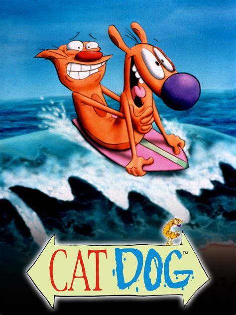 A Cat Dog Cartoon