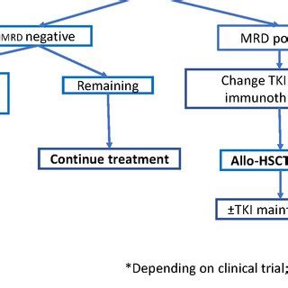 Proposed Schema For Allogeneic Hematopoietic Stem Cell Transplant Allo