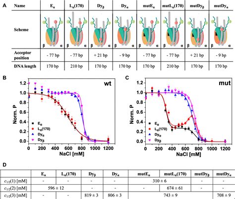 Figure 1 From Dynamics Of The Nucleosomal Histone H3 N Terminal Tail