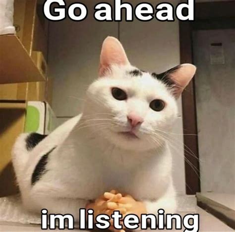 Please I M Listening R Catmemes