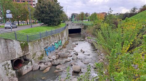 Da Lentate A Niguarda Il Racconto Dei 30 Chilometri Del Fiume Seveso