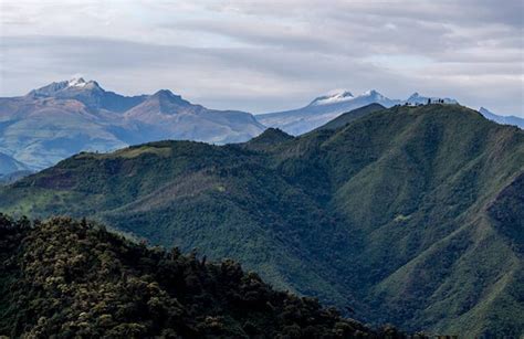 Programa Bosques Andinos Condesan