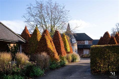 The Barn At Bury Court Wedding Photography Mercedes Evans Photography